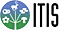 ITIS Global