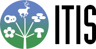 ITIS Global