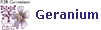 RJB Geranium