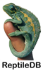 ReptileDB