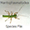 MantophasmatodeaSF