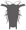 Tessaratomidae Database