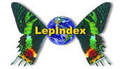 LepIndex