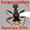 SF Lygaeoidea
